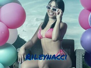 Rileynacci
