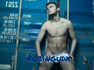 Robingudx