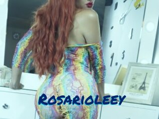 Rosarioleey