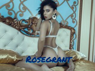 rosegrant Sexe City
