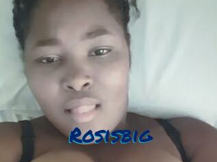 Rosisbig