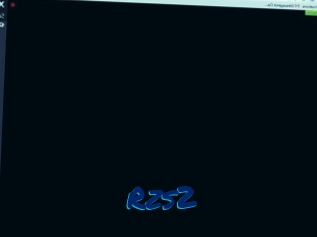 Rzs2