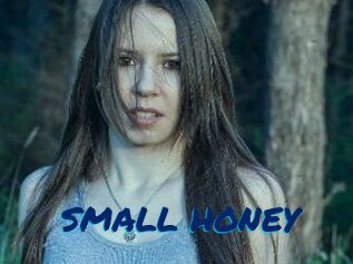SMALL_HONEY