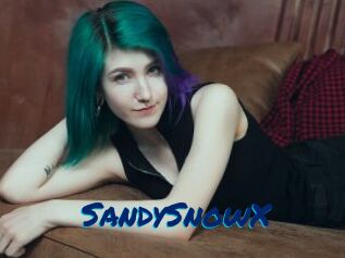 SandySnowX