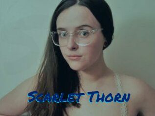 Scarlet_Thorn