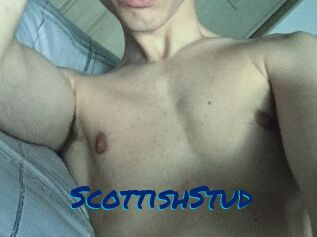 Scottish_Stud