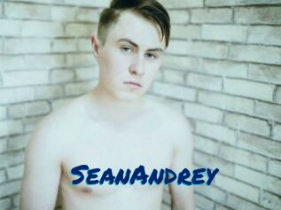 SeanAndrey