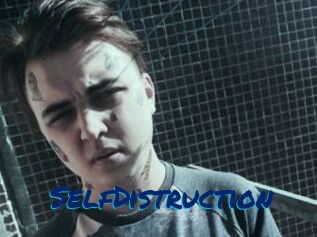 SelfDistruction