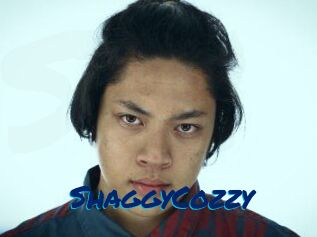 ShaggyCozzy