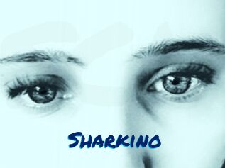 Sharkino