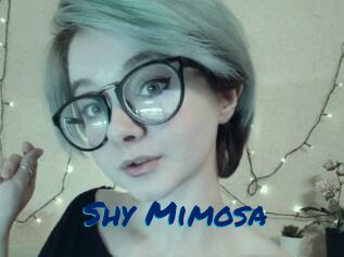 Shy_Mimosa