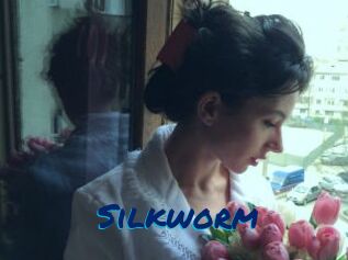 Silkworm