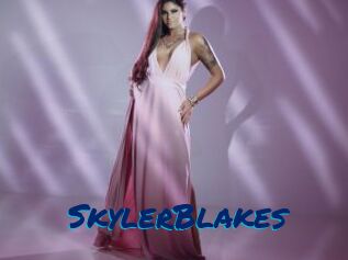SkylerBlakes