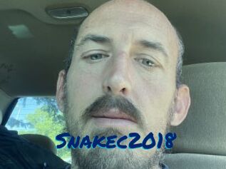 Snakec2018