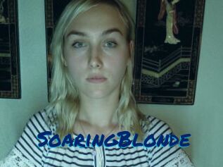 SoaringBlonde