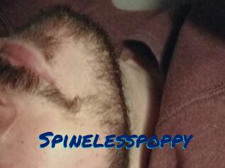 Spinelesspoppy