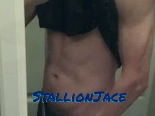StallionJace