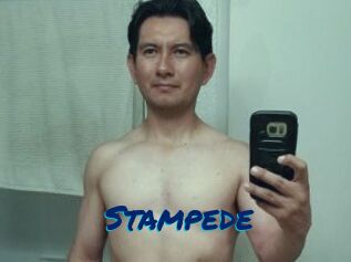 Stampede