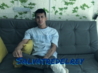 salvatredelrey Sexe City