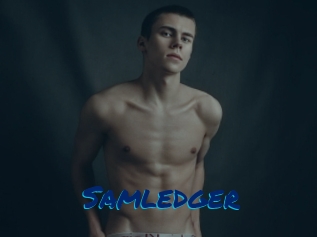 Samledger