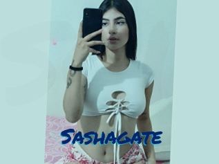 Sashagate