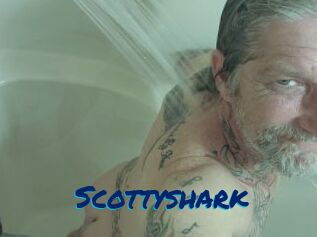 Scottyshark