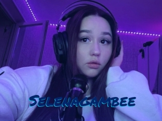Selenagambee
