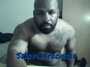 Sexyplayboytoy