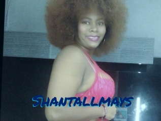 Shantallmays