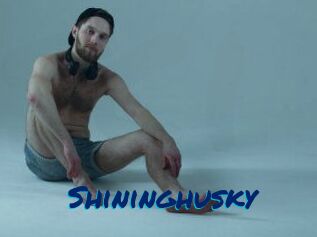 Shininghusky