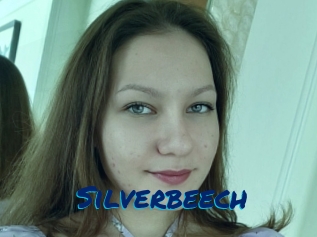 Silverbeech