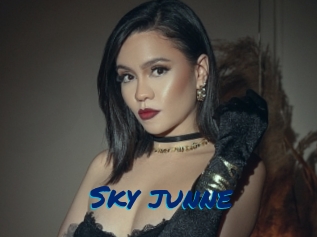 Sky_junne
