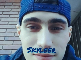 Skyleer