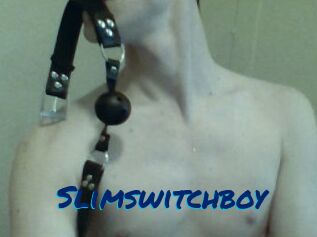 Slimswitchboy