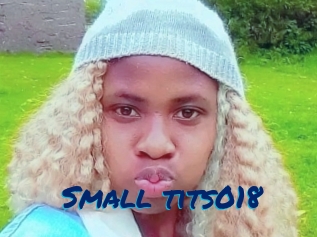 Small_tits018