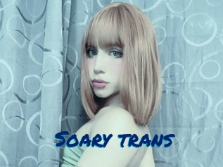 Soary_trans