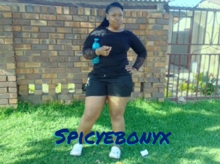 Spicyebonyx