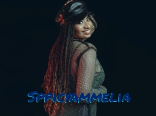 Sppicyammelia