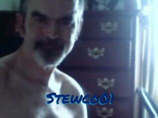 Stewco01