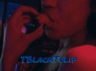 TBlackTulip