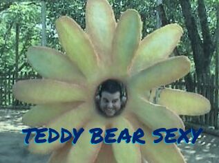 TEDDY_BEAR_SEXY