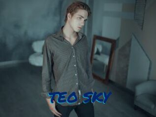 TEO_SKY