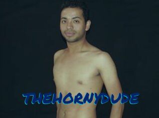THEHORNYDUDE