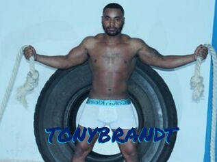 TONYBRANDT