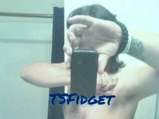 TSFidget