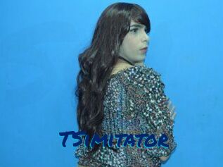 TSimitator