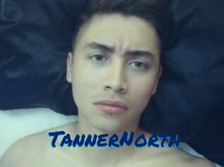 TannerNorth Sexe City