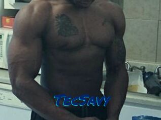 TecSavy