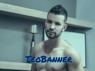 TeoBanner