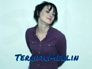 TerrificMerlin